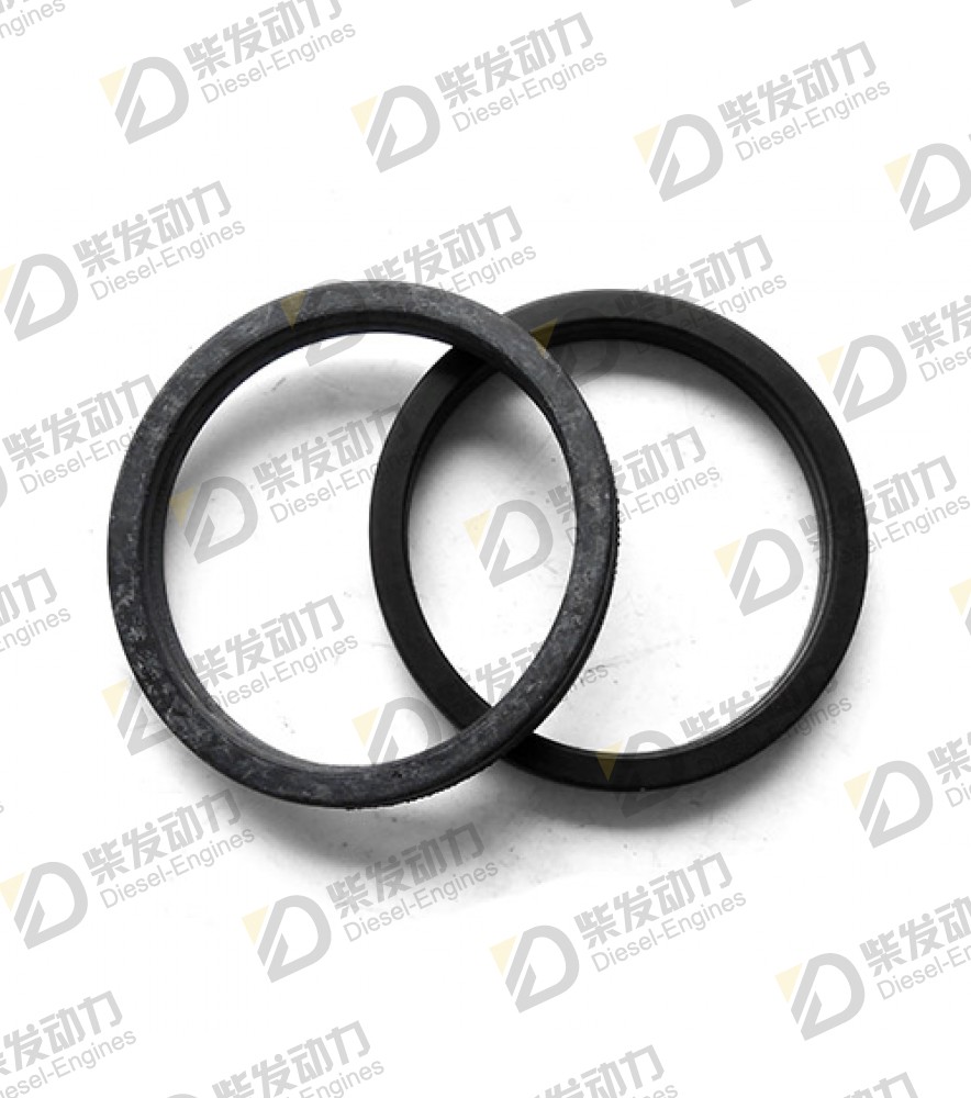 Sealing ring 20799996 